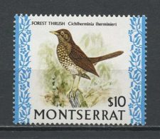 MONTSERRAT 1974 N° 312 ** Neuf = MNH Superbe Cote 30 € Faune Oiseaux Grives Des Forêts Birds Fauna Animaux - Montserrat