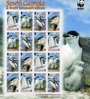 2008 South Georgia & South Sandwich Islands Chinstrap Penguin Bird Chick WWF Full Sheet Of 16 MNH - Géorgie Du Sud