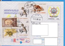 REGISTERED LETTER INFLATION STAMPS   ROMANIA STATIONERY - Other & Unclassified