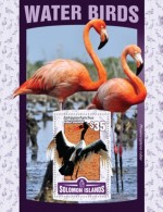 Solomon Islands. 2016 Water Birds. (123b) - Flamingo