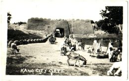 Kano City Gate - & Donkey - Nigeria