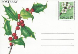 Norway  Postbrev   H-740 - Postal Stationery