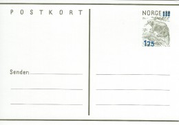 Norway  Postkort - Postal Stationery   A-2942 - Postal Stationery
