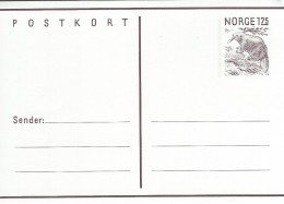Norway  Postkort - Postal Stationery   A-3249 - Postal Stationery