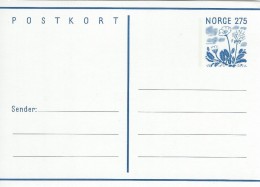 Norway  Postkort - Postal Stationery   A-2419 - Postal Stationery