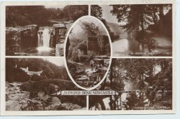 Newcastle - Jesmond Dene - Multiview - Newcastle-upon-Tyne