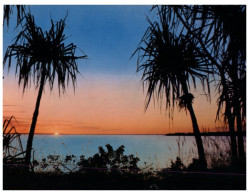 (QLD 676) Australia - NT - Darwin Fannie Bay Sunset - Darwin