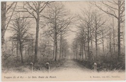 TRAPPES (78) - LE BOIS - ROUTE DU MANET - Trappes