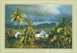 Ïle De La Réunion - LE POURPIER - Reunion