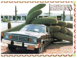 (M+S 448) USA - Arizona Car And Cactus - Cactus