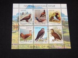 Tajikistan - 2007 Birds Block MNH__(THB-4414) - Tajikistan