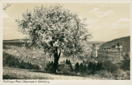 DE OBERWESEL / Frühling Am Rhein / - Oberwesel