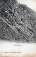 BÜRGENSTOCK-BAHN →  Alter Lichtdruck, Ca.1905 - Sonstige & Ohne Zuordnung