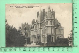 RILLY-LA-MONTAGNE: Château Des Rozais, Mme Pommery  ++ Oblitération Convoyeur De Ligne Langres à Epernay - Rilly-la-Montagne