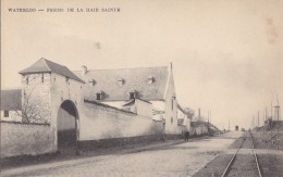 Belgique - Waterloo - Ferme De La Haie Sainte - Précurseur - RARE - Waterloo