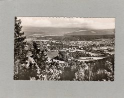 63112   Germania,  Blick Auf Wittlich/Mosel,  NV - Wittlich