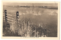 -85- Marais De Soullans Inondé Neuve Excellent état - Soullans