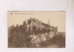 CPA VALLEE DE LA MALIGNEE, RUINES DE MONTAIGLE (voir Timbre) - Ohey