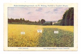 4428 ROSENDAHL - DARFELD, Werbe-AK Fa. Brüning, Hederichbekämpfung - Coesfeld