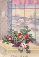 BV1790   MUSHROOMS, WINTER, SNOW, WINDOW,  POSTCARD. - Pilze