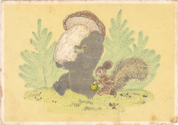 BV1785       MUSHROOMS,   ANIMALS, BEAR AND SQUIRELL, FOREST,    POSTCARD. - Pilze