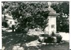 CPSM 84 PIOLENC FONTAINE DU COURS CORSIN STAND De VANNERIE DAUPHINE - Piolenc