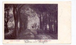 NL - DRENTHE - ROLDE, Laan Te Rolde, 1904 - Rolde