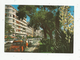 Cp, Automobile , Citroen 2 Cv,  06 , NICE , Promenade Des Anglais , écrite , N° 165 - PKW