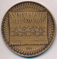 Csúcs Viktória (1934-) DN 'MezÅ‘kövesd' Br Emlékérem (60mm) T:2 - Unclassified