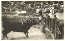 ** T1 Bullfight, Carnicerito, Photo George - Unclassified