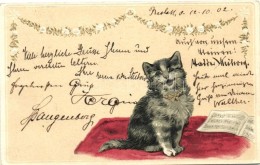 T2/T3 Cat With Music Sheet, Golden Decoration Litho, Emb. (EK) - Unclassified