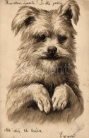 T2 Terrier, Dog; Emb. Litho - Ohne Zuordnung