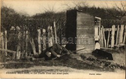 ** T2 Guerre 1914-1915, Les Diables Bleus Aux Avant-postes / Alpine Hunters, The Blue Devils - Zonder Classificatie