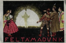 ** T2 Feltámadunk! Magyar Irredenta Fémlemezen / Hungarian Irredenta On Metal Sheet Card (non PC) - Unclassified