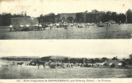 T2 Fribourg, Ecole D'Agriculture De Grangeneuve / Agricultural School, Haymaking - Zonder Classificatie