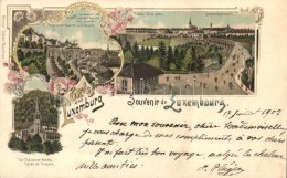 * T2 Luxembourg, Gruss Aus Luxemburg, Ottmar Zieher Floral Litho - Zonder Classificatie