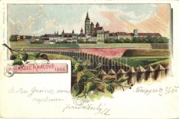 T2/T3 1899 Hradec Králové, General View, Floral Litho (EK) - Non Classificati