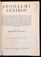 Irodalmi Lexikon. Szerk.: Benedek Marcell. Bp., 1927, GyÅ‘zÅ‘ Andor. Vászonkötésben, A 705-738.... - Zonder Classificatie
