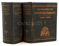 Gyakorlati Gazdalexikon. Százkét Munkatárs MÅ±ködésével Szerk.: Mille... - Zonder Classificatie