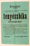 1897 Szombathely, Tenyészbika árverési Hirdetmény 32x48 Cm - Unclassified
