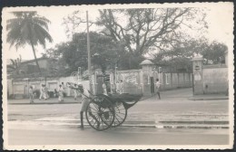 1958 Colombo Utcái, Ceylon, Fotólap, Hátulján Feliratozva, 8,5×13,5 Cm - Sonstige & Ohne Zuordnung