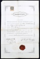 1880 A Budapesti Mészáros-Ipar-Társulat Bizonyítványa, Viaszpecséttel, 50... - Unclassified