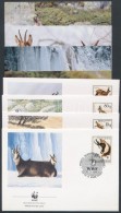 1990 WWF: Zerge Sor Mi 2423-2426 4 FDC-n + 4 Db Képeslap - Sonstige & Ohne Zuordnung