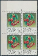 ** 1986 Gyümölcsök Négyestömb, A Második Bélyegen Pont Az 'O' Alatt - Sonstige & Ohne Zuordnung