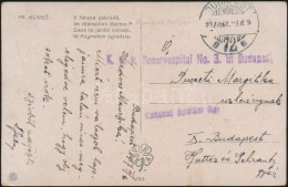 1917 Tábori Posta Képeslap 'K.u.k. Reservespital No.3. In Budapest' + 'Katonai ápolási... - Sonstige & Ohne Zuordnung