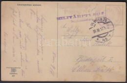 1917 Tábori Posta Képeslap 'Militärpflege Portofrei' - Sonstige & Ohne Zuordnung