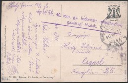 1917 Tábori Posta Képeslap / Field Postcard 'M.kir. 40. Honv. Gy. Hadosztály... - Altri & Non Classificati