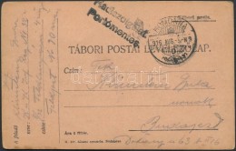 1916 Tábori Lap 'HOMONNA' Polgári Postán Feladva 'Hadiszolgálat.' 'Portómentes.'... - Other & Unclassified