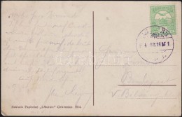 1914 Képeslap Tengeri Posta Bélyegzéssel - Other & Unclassified