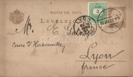 1893 Díjkiegészített Díjegyes LevelezÅ‘lap Lyonba - Sonstige & Ohne Zuordnung